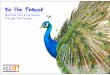 Be the Peacock: Discover Your Inner Beauty Through Technology