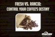 Control Your Coffee's Destiny - What You Need to Know