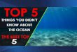TOP 5 Things You Didn't Know About The Ocean