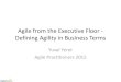 Agile from the executive floor - defining agility in business terms - Agile Practitioners Israel 2015