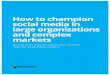 How to champion social media in large organizations and complex markets