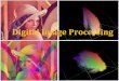Introduction to digital image processing