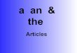 a/an and the articles