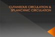 Cutaneous circulation & splanchnic circulation