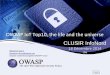 CLUSIR INFONORD OWASP iot 2014