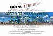 10th Annual BDPA Cincinnati Awards Luncheon Souvenir Booklet