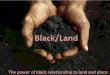 Black/Land HAFA-DC  webinar questions v 2