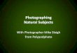 Photographing natural subjects
