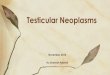 Testicular neoplasms