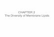 Chapter 2: diversity of lipids