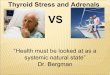 Thyroid stress and adrenals