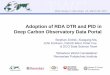 Adoption of RDA DTR and PID in Deep Carbon Observatory Data Portal