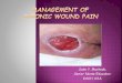 Management of chronic wound pain 2014