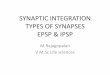 Synaptic integration, Types of synapses, EPSP and IPSP