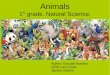 Animals. 1st Grade. Natural Science. CEIP Encarnación Asensio Granados