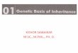 Genetic Basis of Inheritance