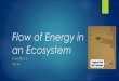 G9 ch2.2  energy in an ecosystem