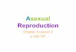 G7 Ch4.2 - Asexual Reproduction