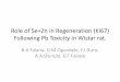 Role of se+zn in regeneration (ki67)