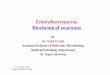 Enterobacteriacea i   biochemical reaction بكتريا عملي