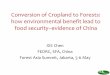 Conversion of cropland to forests: How environmental benefit lead to food security-evidence of China