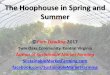 Hoophouse in spring and summer Dawling