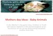 Mothers day ideas - Baby Animals