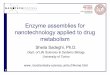 Enzyme assemblies for nanotechnology applied to drug metabolism