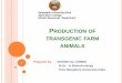 Production of transgenic farm  animals