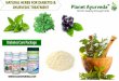 Natural Herbs for Diabetes & Treatment | Control Blood Sugar