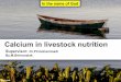 Calcium in Livestock nutrition - Mohammad Ali Behroozlak