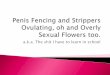 Penis  Fencing And  Strippers  Ovulating, Oh And