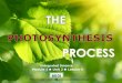 Integrated Science M1 Photosynthesis Process
