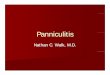 Panniculitis. Nathan C. Walk