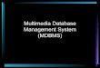 Multimedia db system