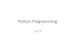 Python programming lab 9