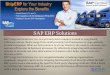 SAP ERP Solutions