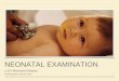 Neonatal examination