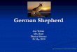 German shepherd (science)