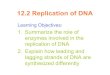 12.2 replication of dna