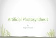 Artificial photosynthesis