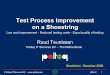 Ruud Teunissen -  Test Process Improvement on a Shoestring