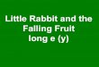 U4 little rabbit-and-the-falling-fruit