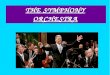 The symphony orchestra