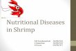 Nutritional diseases in shrimps