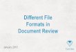 Different File Formats in Document Review