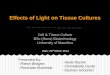 Effects of Light Intensity on Tissue Cultures