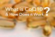 What is CoQ10 and How Does It Work?