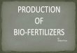 Agribusiness - Production of Biofertilizers