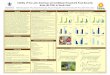 Poster39: Validity of the Latin American and Caribbean household food security scale (ELCSA) in South Haiti